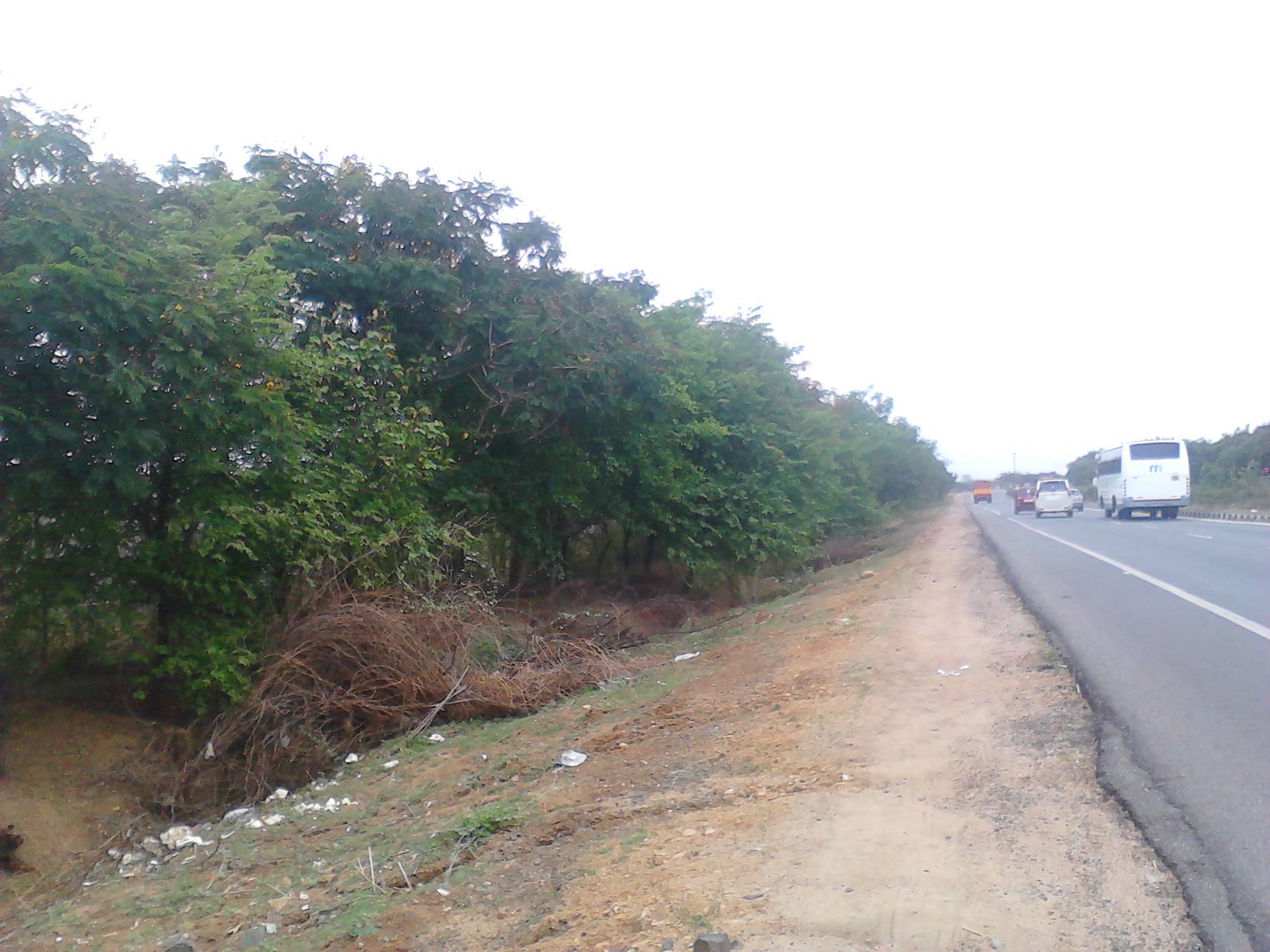 Chennai to Banglore Highway, June 2013